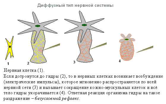 Адрес кракен в тор